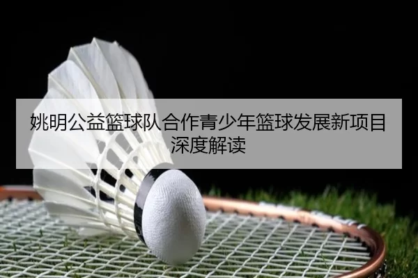 姚明公益篮球队合作青少年篮球发展新项目深度解读
